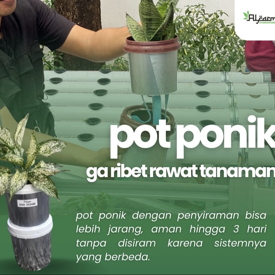 Pelatihan Urban Farming dengan Sistem Potponik