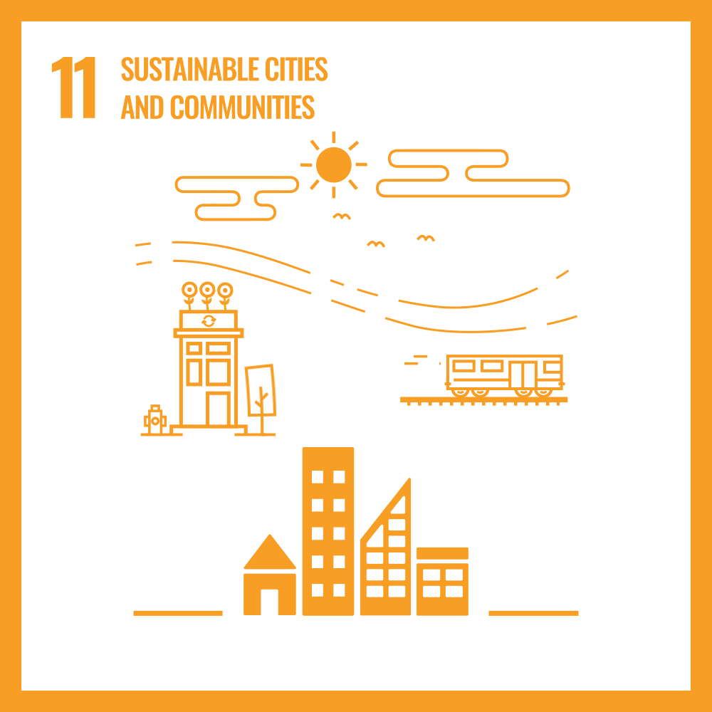 SDG 11
