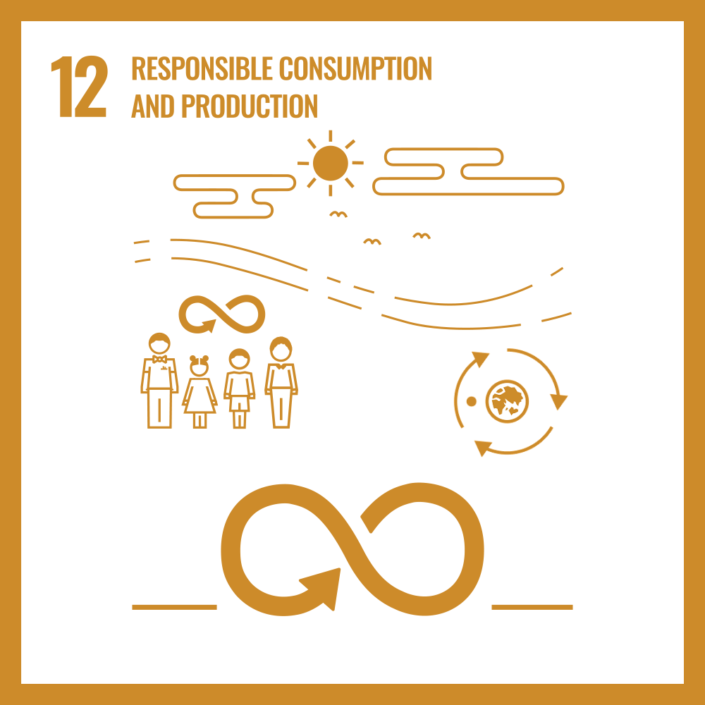SDG 12
