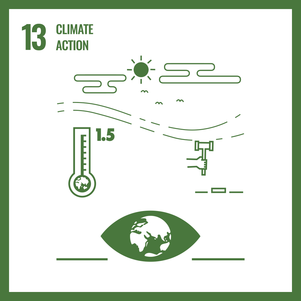 SDG 13