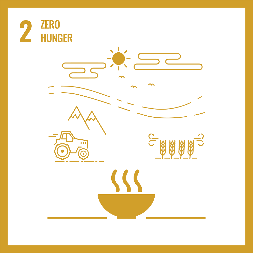 SDG 2